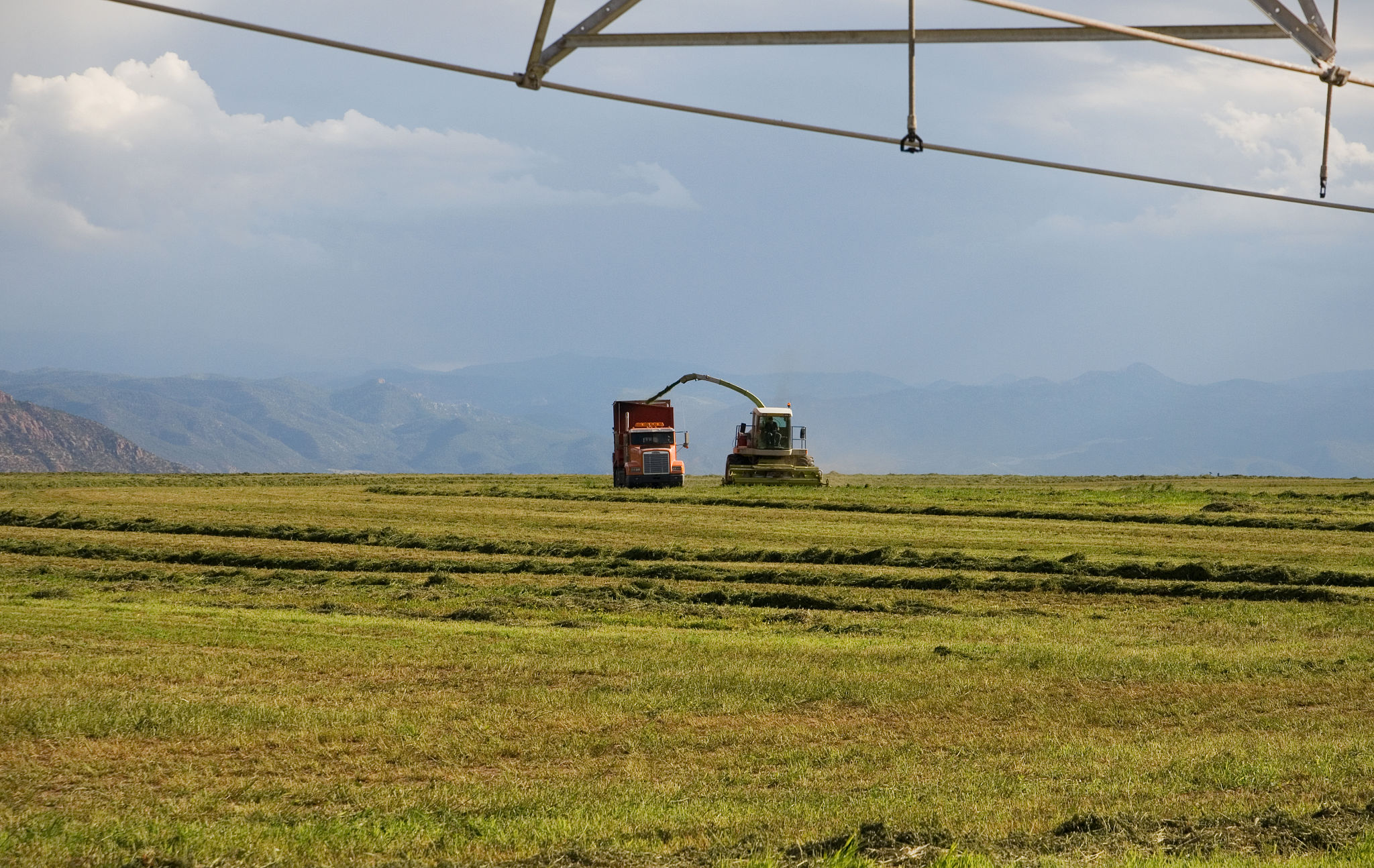 Claas forage harvester