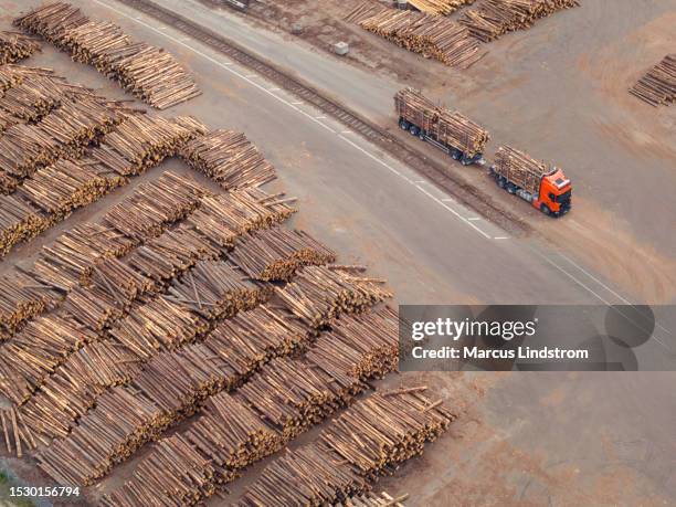 wood industry - ontbossing stockfoto's en -beelden