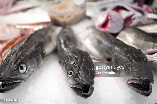 at the fish market - european eel stock pictures, royalty-free photos & images