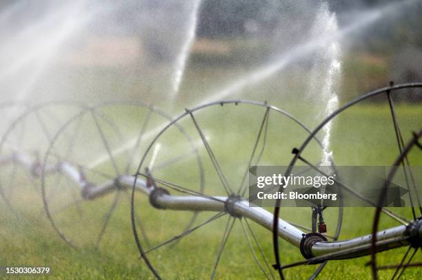 Row of irrigation sprinklers spray a field on a farm during a drought in Saanich, British Columbia, Canada, on Wednesday, July 12, 2023. Premier...