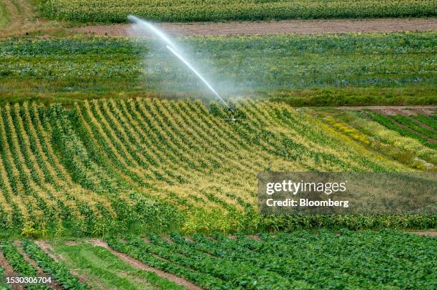 An irrigation sprinkler system sprays a field on a farm during a drought in Saanich, British Columbia, Canada, on Wednesday, July 12, 2023. Premier...