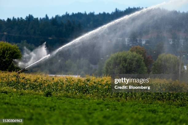An irrigation sprinkler system sprays a field on a farm during a drought in Saanich, British Columbia, Canada, on Wednesday, July 12, 2023. Premier...