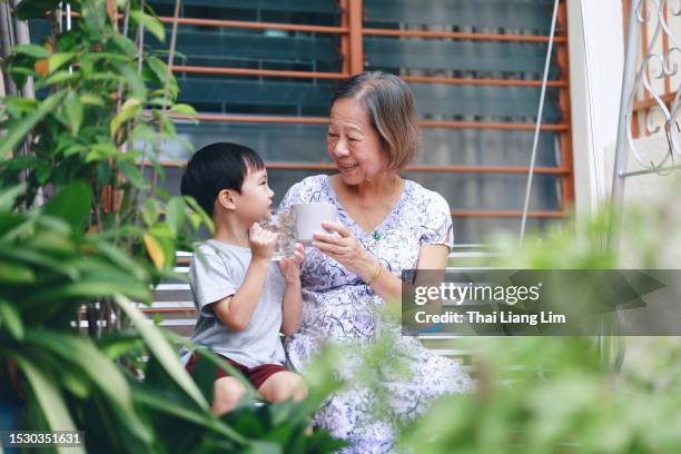 la abuela y el nieto se sientan en el columpio en el patio trasero, disfrutando de una bebida juntos. comparten sonrisas y participan en conversaciones, apreciando el tiempo de calidad y fortaleciendo su vínculo familiar. - niño-tomando-agua fotografías e imágenes de stock