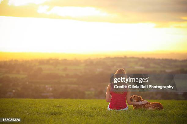 young women and golden retriever watching sunset - long hair back stock pictures, royalty-free photos & images