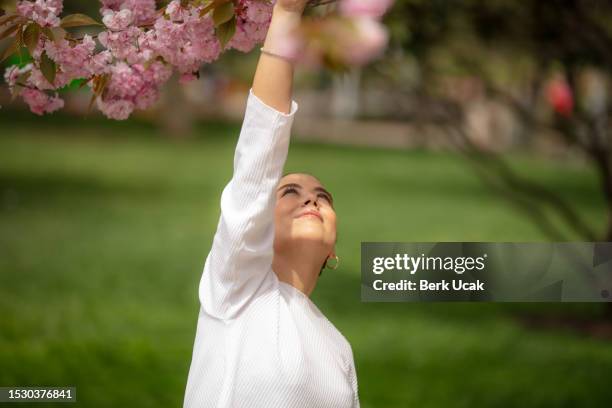 young woman is touching cherry blossom tree's flower. - april 22 stock pictures, royalty-free photos & images