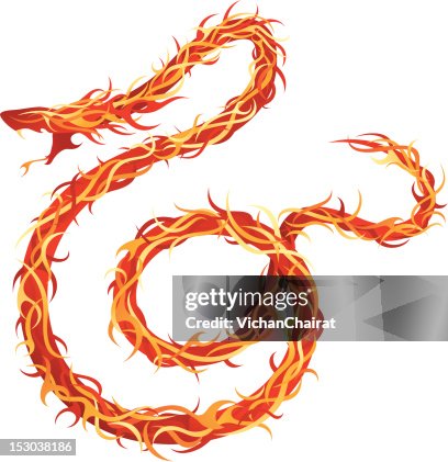 Fire Snake Texture Fire Snake High-Res Vector Graphic - Getty Images