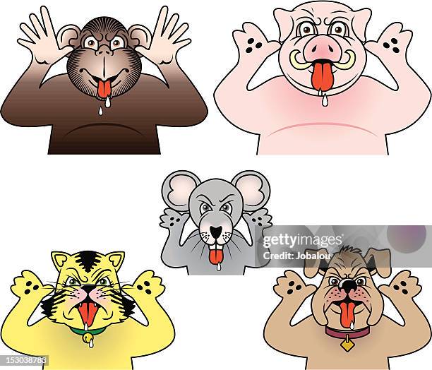 comic angry animals - cat sticking out tongue stock illustrations