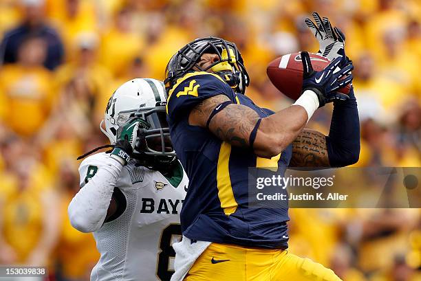 Stedman Bailey of the West Virginia Mountaineers catches a forty seven yard touchdown pass in the first half against K.J. Morton of the Baylor Bears...