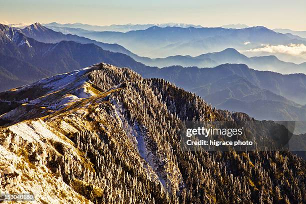 hehuan mountain - national forest stock pictures, royalty-free photos & images