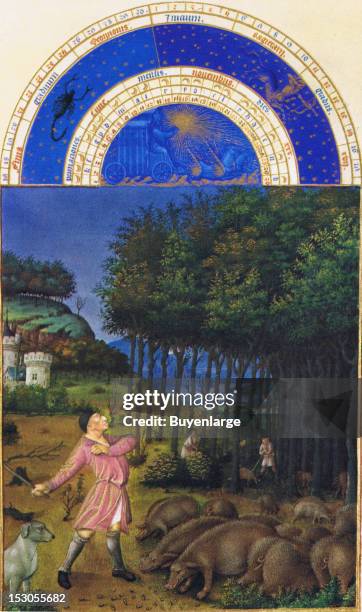 This is the only calendar image executed by Colombe; the Limbourg's painted only the zodiacal tympanum above it. The picture shows the autumn acorn...