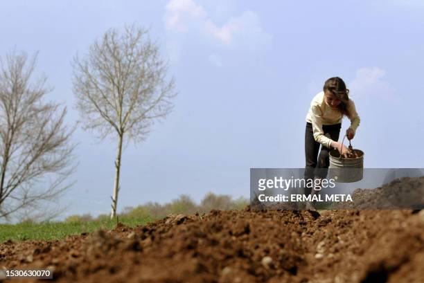 An ethnic Albanian girl works at a field 26 April 2006, as the Prime Minister Agim Ceku visited the bordered village of Debelde on the verge of his...