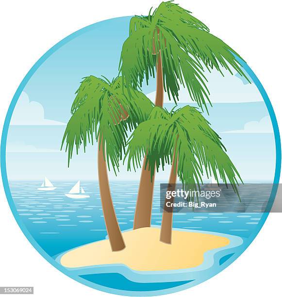 tropical palms - stranded stock illustrations