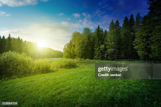 hermosa puesta de sol sobre el lago del bosque - field blue sky fotografías e imágenes de stock