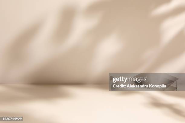 empty studio 3d exhibition background - pastel creamy pink beige stage with soft natural diagonal tree, plants shadows - objeto manufaturado imagens e fotografias de stock