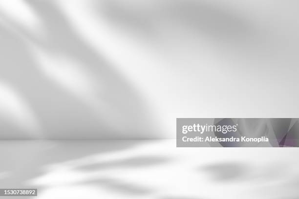 empty 3d stage, abstract white showcase room with trees, plants, window shadows. natural dappled light overlay effect. front view, copy space. - muro foto e immagini stock