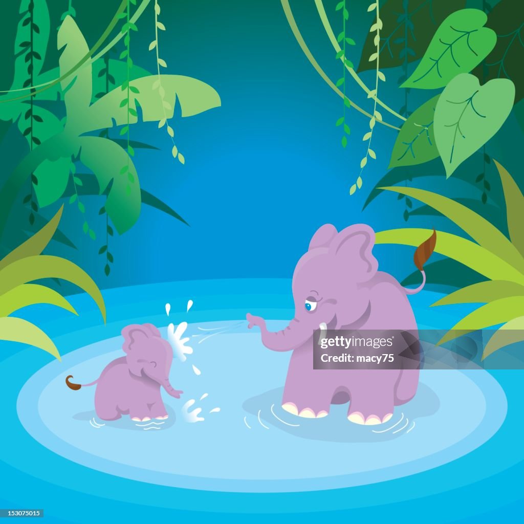 Cute splashing elephants mom and baby
