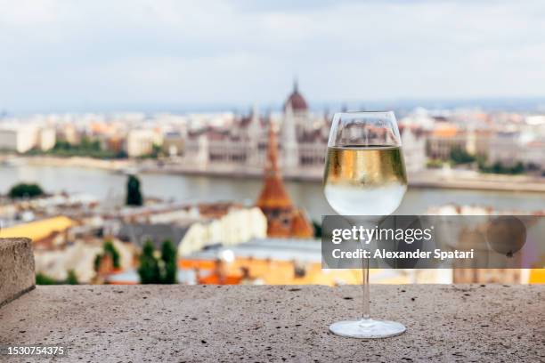 glass of white wine and budapest skyline, hungary - oost europese cultuur stockfoto's en -beelden