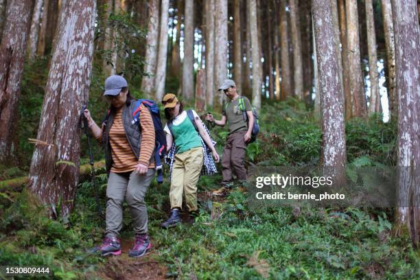 Phytoncide Phytoncide Photos and Premium High Res Pictures - Getty Images
