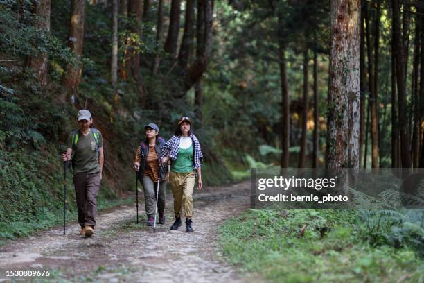 Phytoncide Phytoncide Photos and Premium High Res Pictures - Getty Images