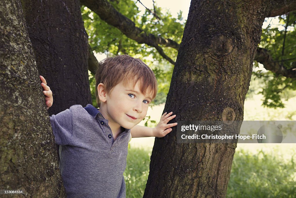 Boy looking between two trees