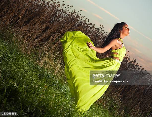 chartreuse dress - langes kleid stock-fotos und bilder