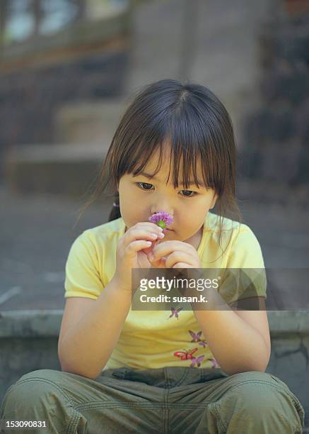 little girl smelling flower - flores indonesia - fotografias e filmes do acervo