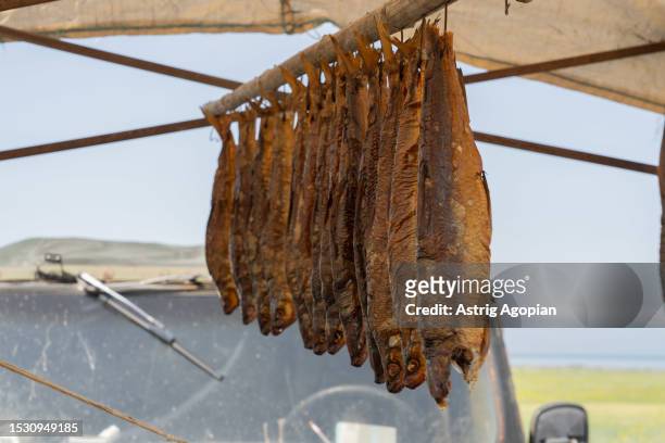 Dried whitefish are sold instead of trout whose numbers have decreased, on the side of the road on July 8, 2023 in Chkalovka, Armenia. Armenia's...