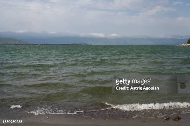 Side of Lake Sevan which is already visibly greener as pollution from the sewage water and rising temperatures make blue-green algae appear and...