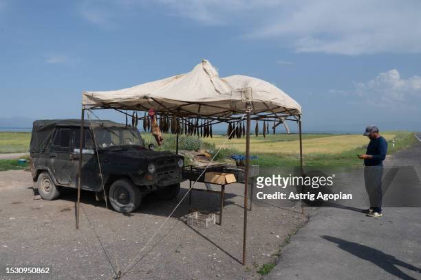 Local whitefish and trout seller stands on the side of the road on July 8, 2023 in Chkalovka, Armenia. Armenia's iconic lake is shrinking due to low...
