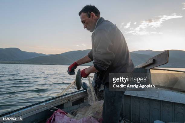 Local fisherman on his boat in the early morning, taking the whitefish he caught on his net on July 9, 2023 in Artanish, Armenia. Armenia's iconic...