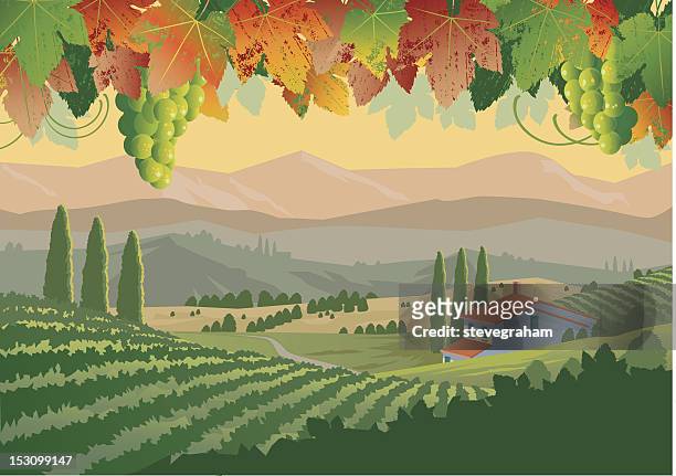 ilustrações, clipart, desenhos animados e ícones de vinícolas da toscana - itália