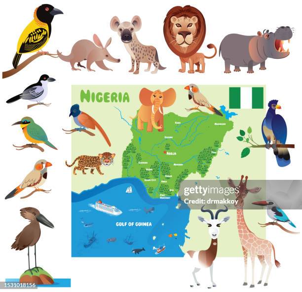nigeria map and animals - eutrichomyias rowleyi stock illustrations
