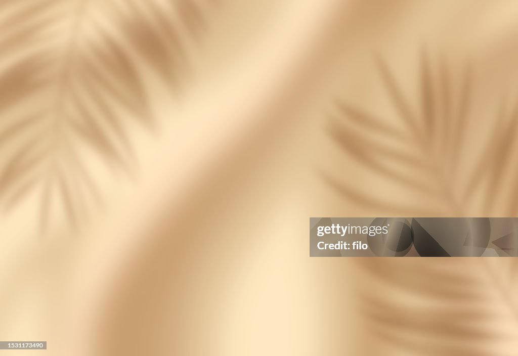 Glatter Strand Sand Wellen Palmblatt Beige Hintergrund