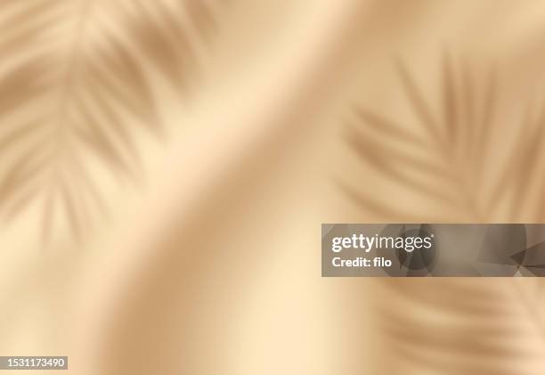 glatter strand sand wellen palmblatt beige hintergrund - tropisches muster stock-grafiken, -clipart, -cartoons und -symbole