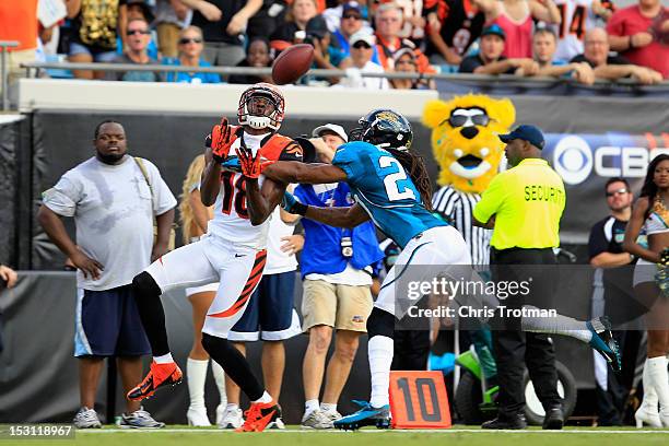 Green of the Cincinnati Bengals catches the ball against Rashean Mathis of the Jacksonville Jaguars at EverBank Field on September 30, 2012 in...