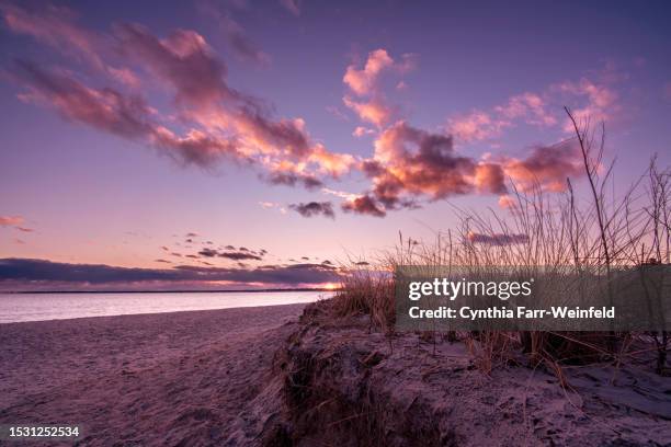 pine point beach dune at sunset horizontal - scarborough maine bildbanksfoton och bilder