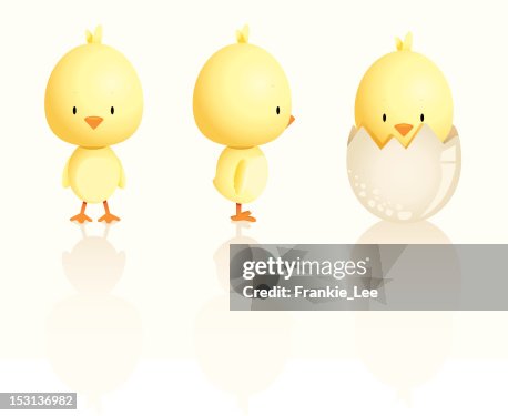 Cute Easter Chicks Cute Easter Chicks
