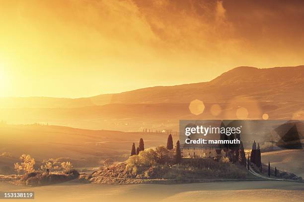 farm in der toskana bei sonnenaufgang - zypresse stock-fotos und bilder