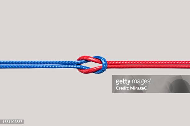 blue and red ropes knotted connection by reef knot - dinge die zusammenpassen stock-fotos und bilder