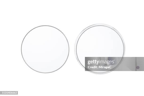 empty petri dish isolated on white - empty petri dish stock pictures, royalty-free photos & images