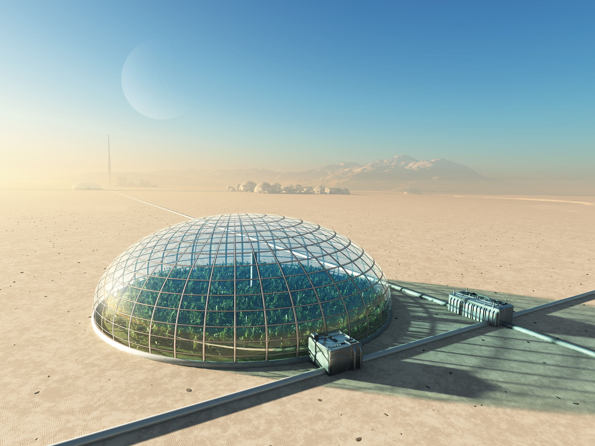cosmic gardens