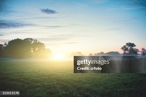 Sun kisses fog Sun kisses fog