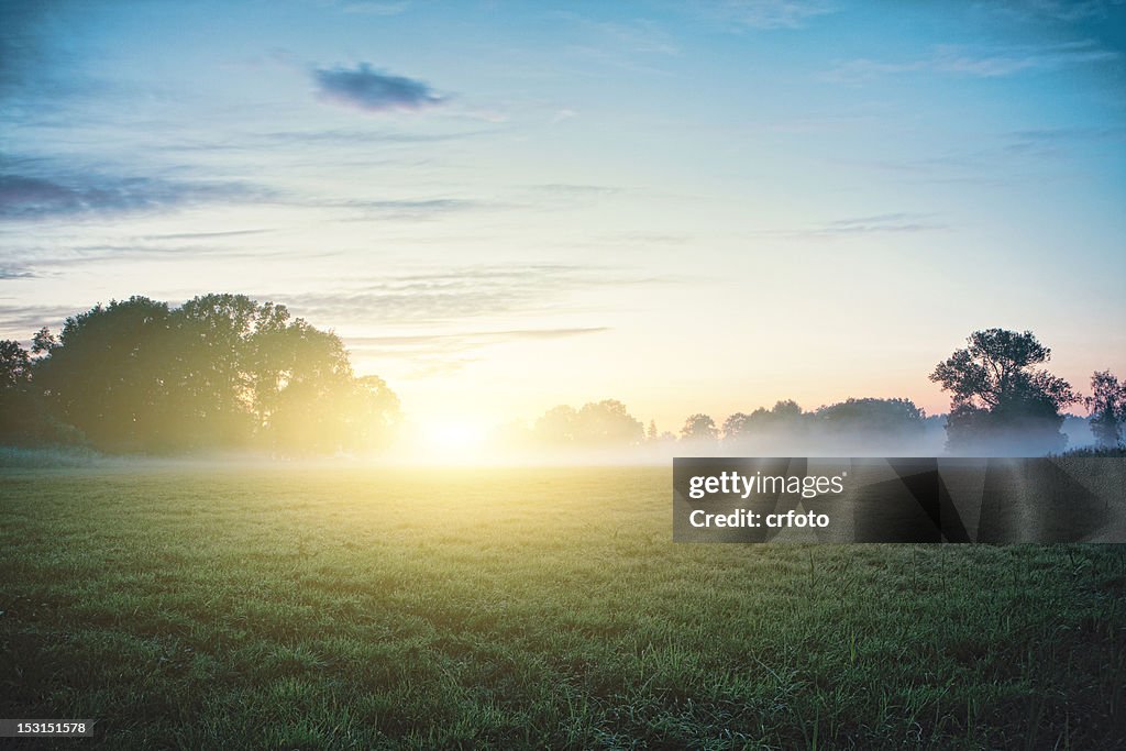 Sun kisses fog