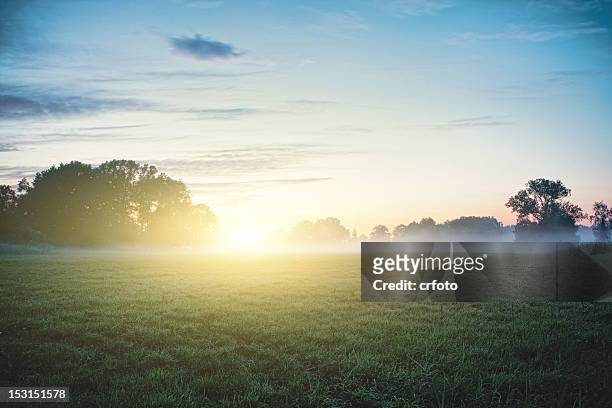 sun kisses fog - lower saxony stock pictures, royalty-free photos & images