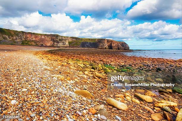 colored stones and pebbles - edward-lambton-7th-earl-of-durham stockfoto's en -beelden