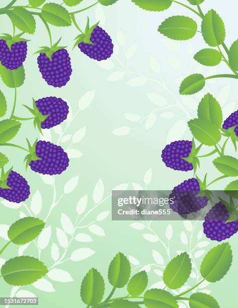 Summer Raspberry Frame Background Template High-Res Vector Graphic ...