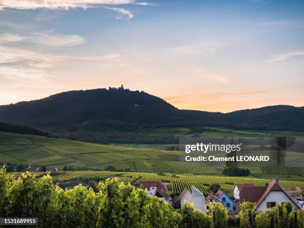 Rodern 14 Rodern Stock Photos, High-Res Pictures, and Images - Getty Images