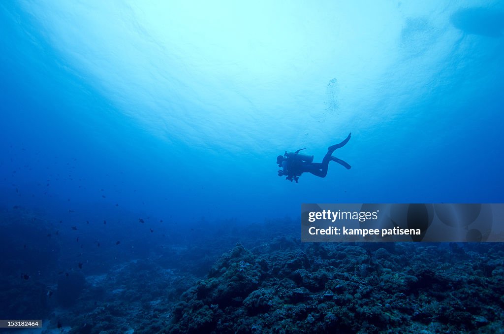 Lonely diver swimming