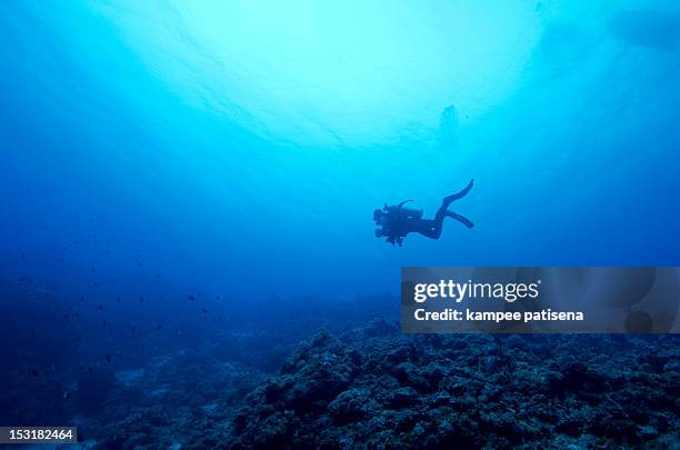 lonely diver swimming - mergulho submarino - fotografias e filmes do acervo