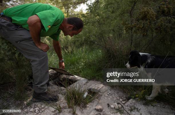 Spanish farmer Juan Antonio Merlos Lopez shows his exploitation in Velez Blanco, near of Almeria on July 10 as Spain is hit by ongoing droughts....